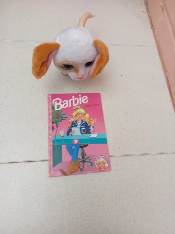 Livre barbie