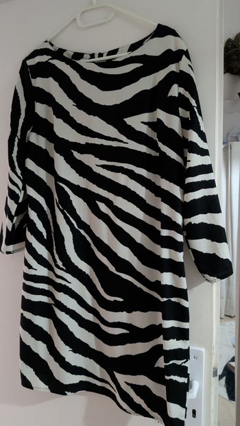 Robe zèbre
