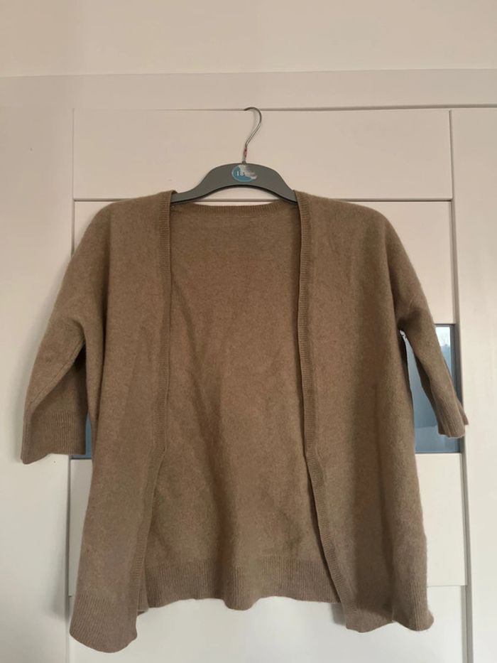 Gilet cachemire