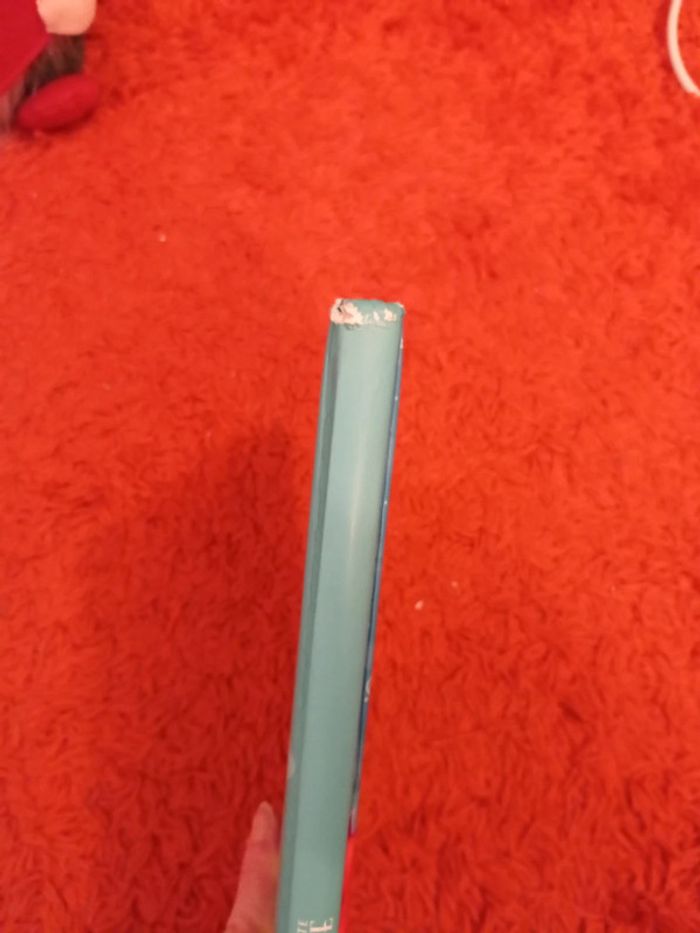 🎅🎅 La petite sirène - photo numéro 3