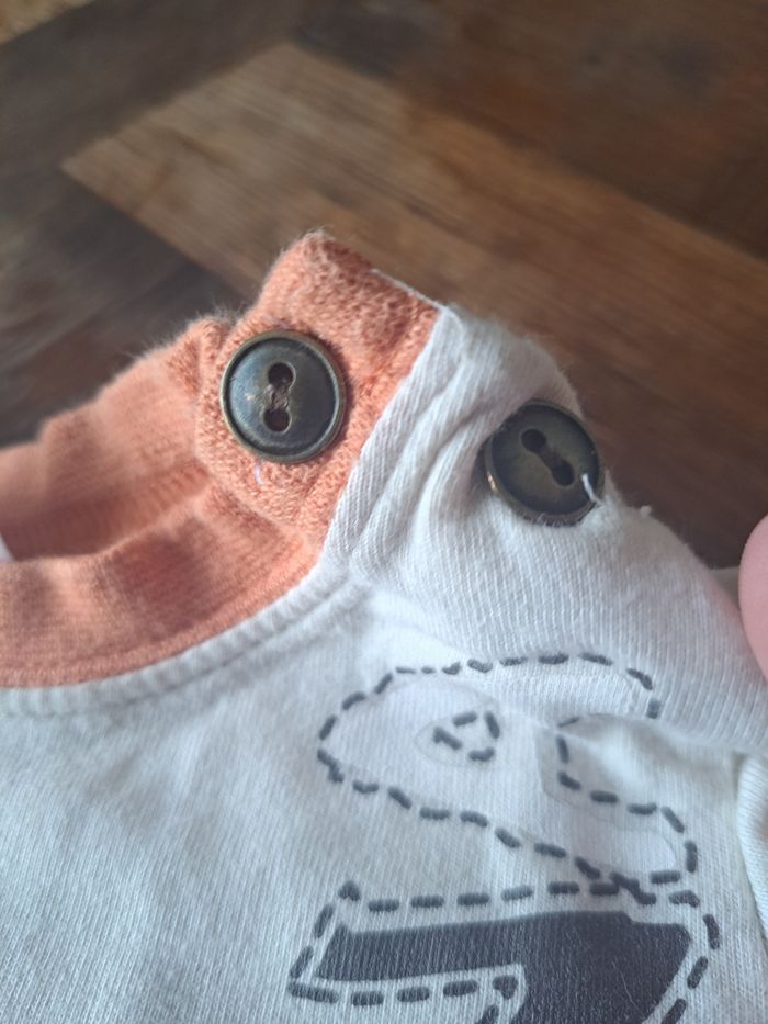 Ensemble - photo numéro 2