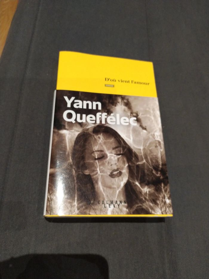 D'où vient l'amour d'Yann Queffelec