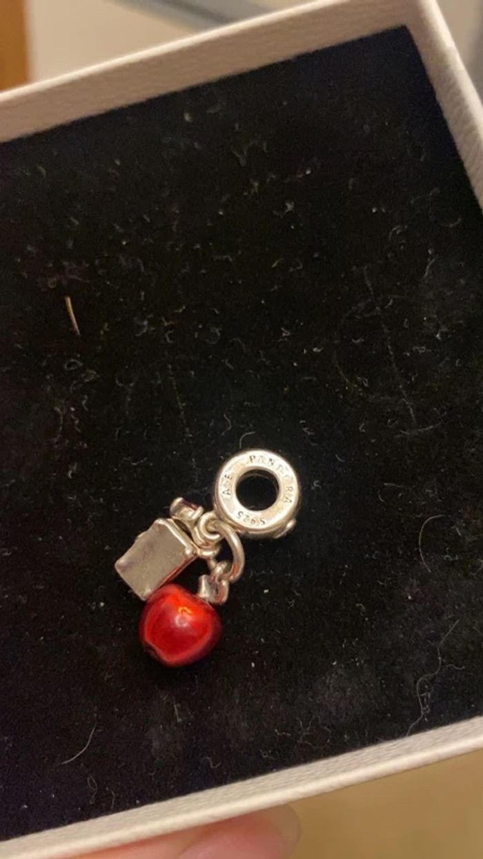 Charm pandora - photo numéro 3
