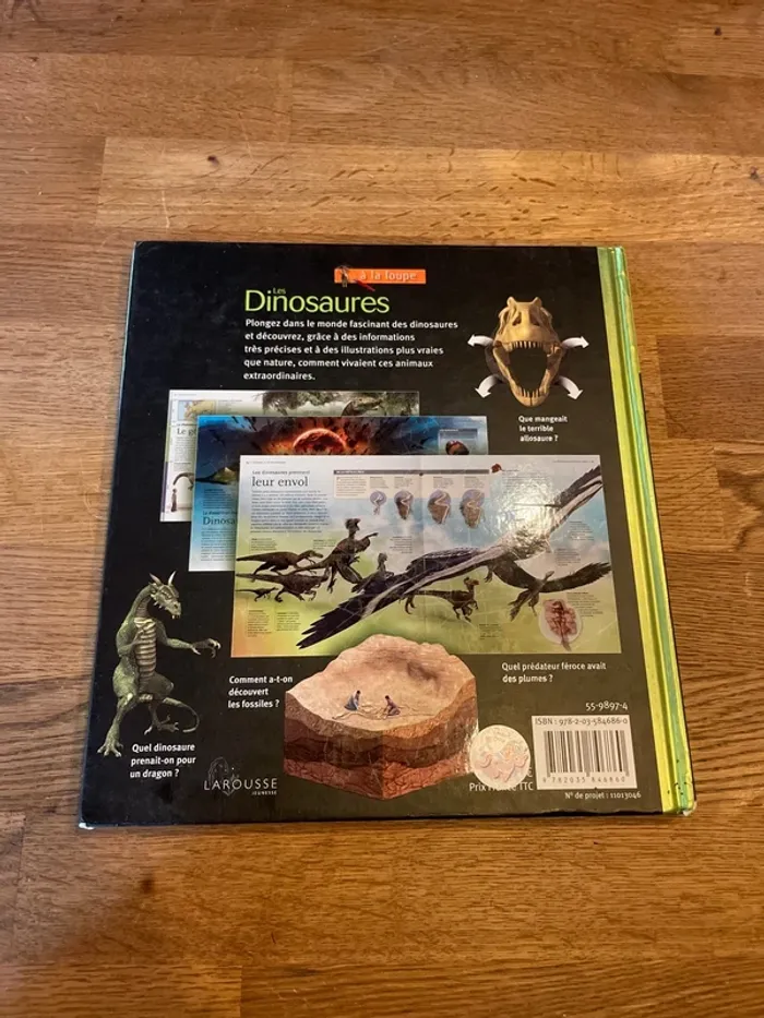 Livre Les dinosaures À la loupe - photo numéro 3