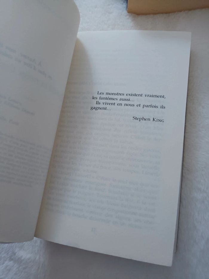 Livre Quand La Neige Danse de Sonja Delzongle - photo numéro 3