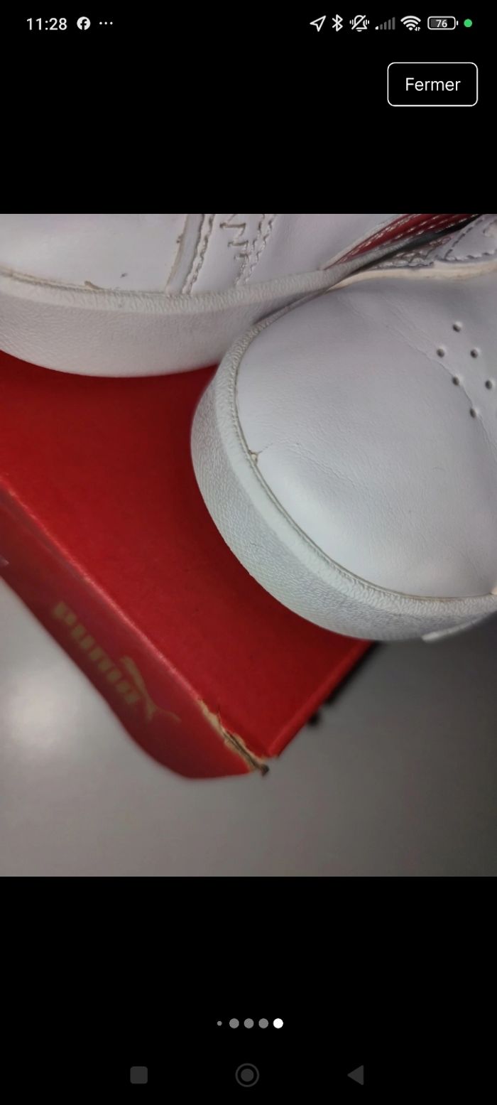 Puma fille 25 - photo numéro 8