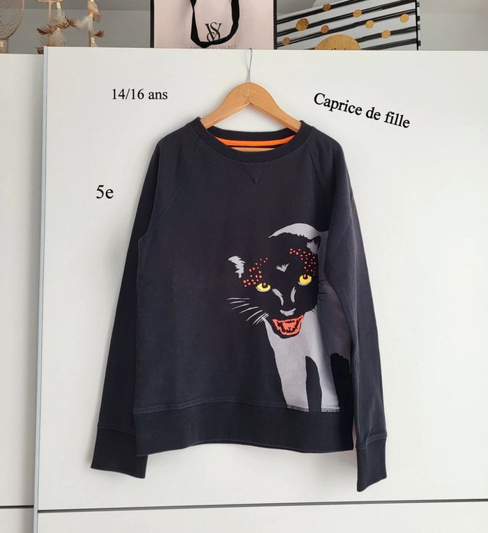Sweat Caprice de fille 16 ans etat impeccable