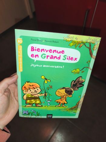 Bienvenue en Grand Silex