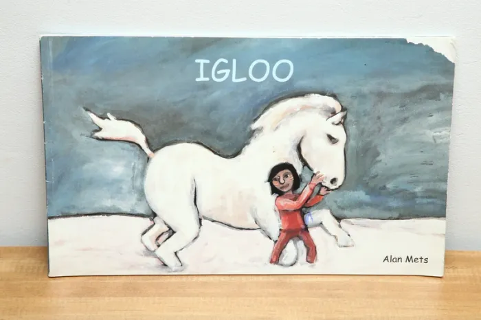 Igloo