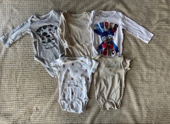 Lot 5 bodies bébé 9 mois 