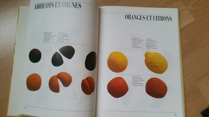 Livre pâte à sel - photo numéro 2