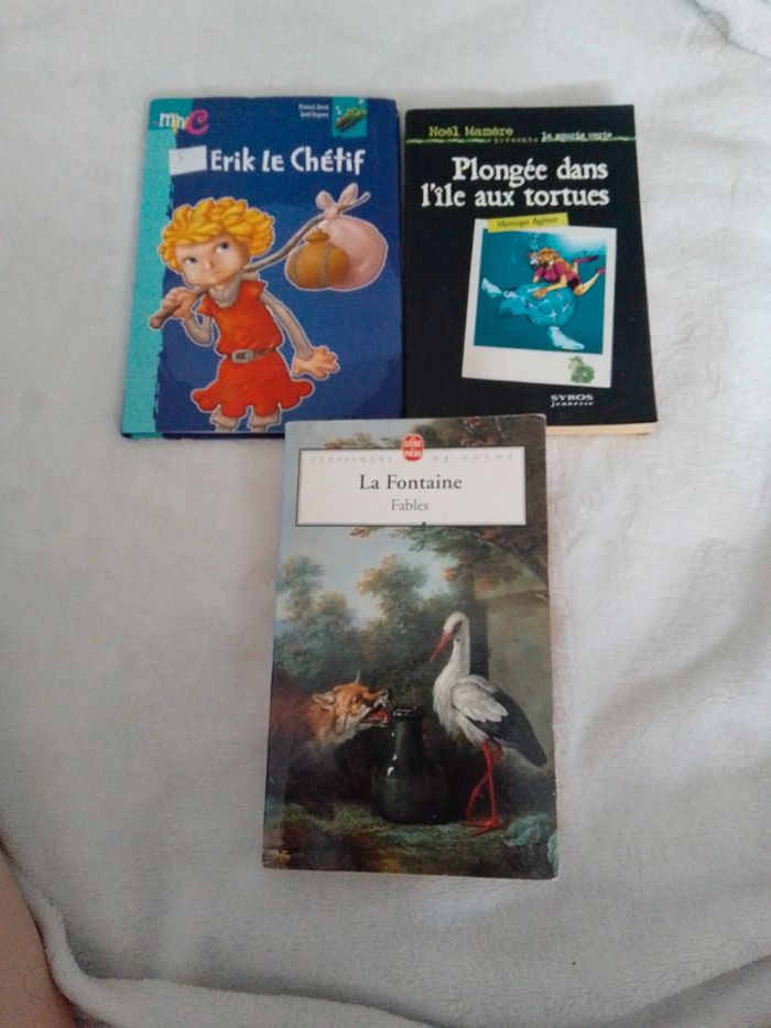 Lot de 3 livres pour enfants