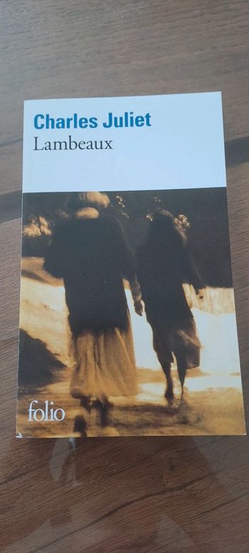 (Réduction) Livre Lambeaux
