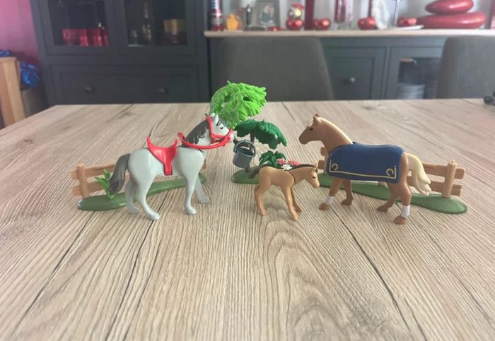 Lot - prix sur tous les éléments équitation - photo numéro 17