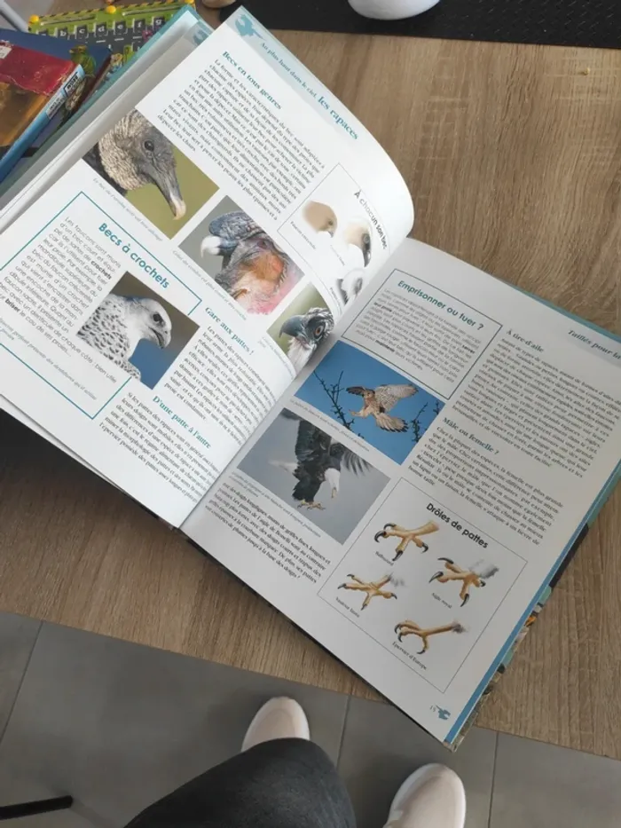 Livre édition atlas les rapaces - photo numéro 4