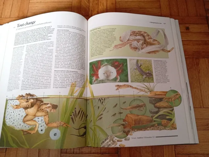 Le grand livre des secrets de la nature - photo numéro 7