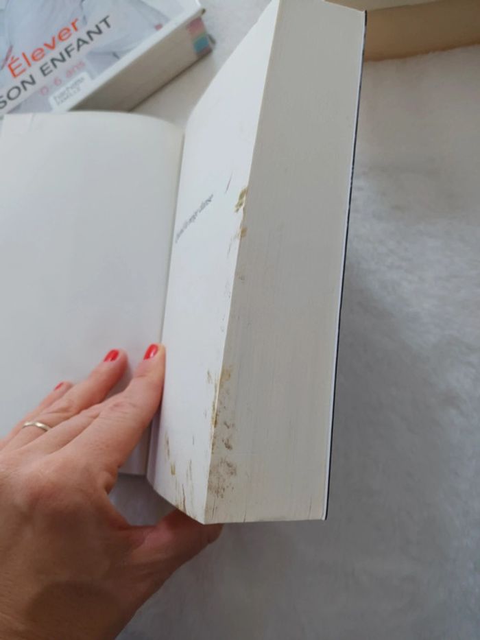 Livre Quand La Neige Danse de Sonja Delzongle - photo numéro 6