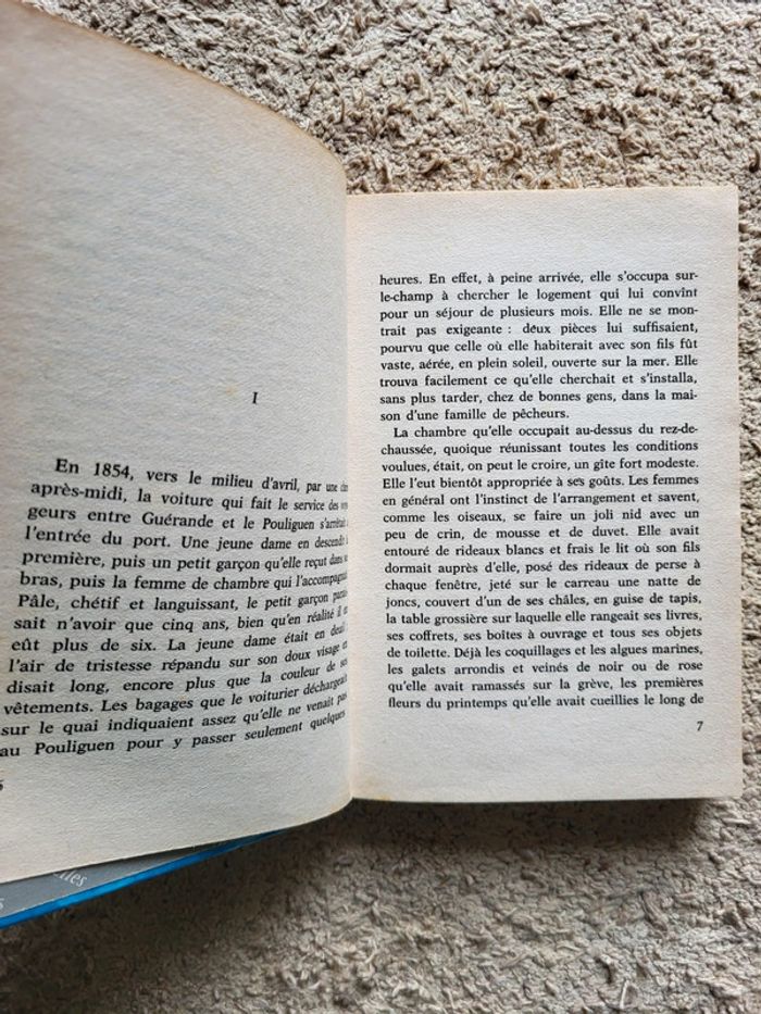 La Roche aux Mouettes - Livre ancien 1963 - photo numéro 6