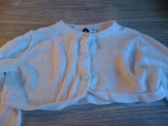 Gilet - photo numéro 2