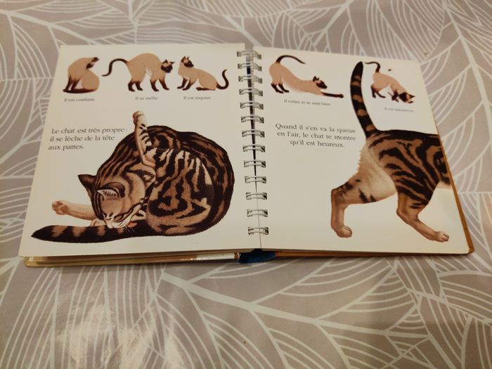 Mes premières découvertes : le chat - photo numéro 6