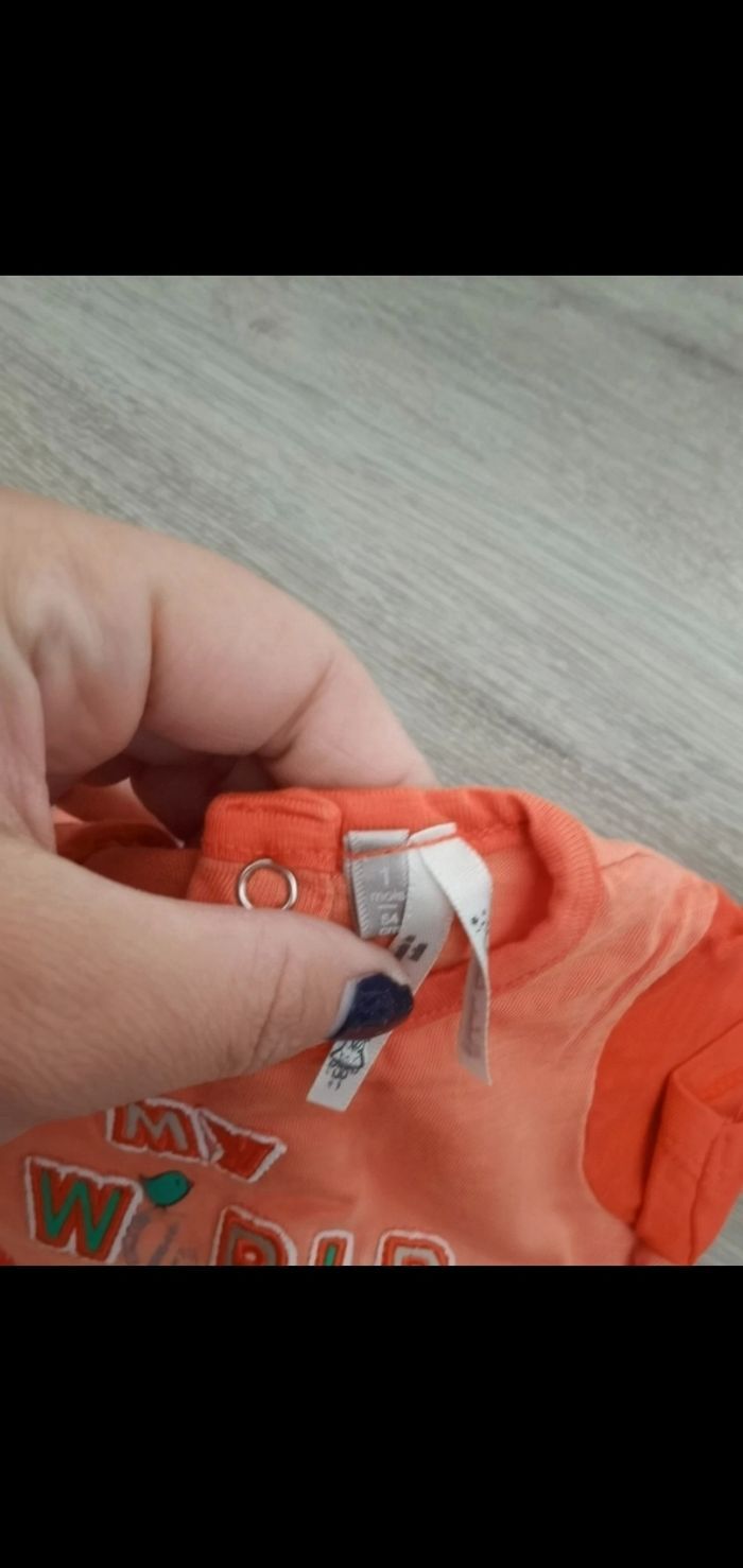 Ensemble - photo numéro 6