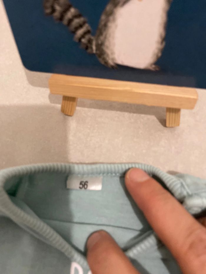 Lot pull - tee-shirt - photo numéro 4