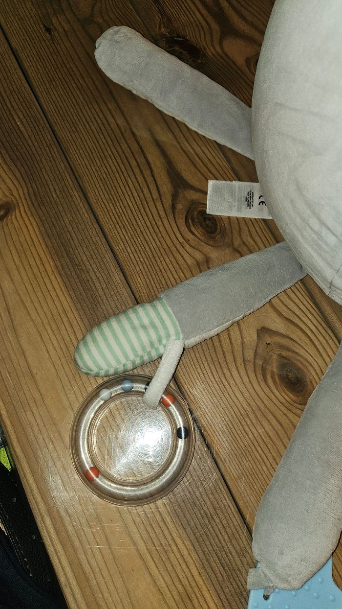 Pieuvre activités - photo numéro 4