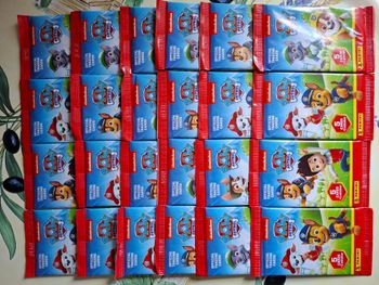 Pat Patrouille (La ) - Trading Cards - Lot de 24 pochettes