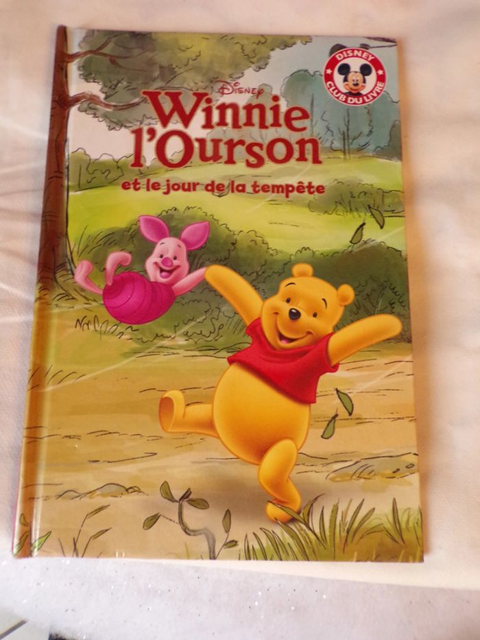 Livre Disney club du livre Winnie l'ourson et le jour de la tempéte
