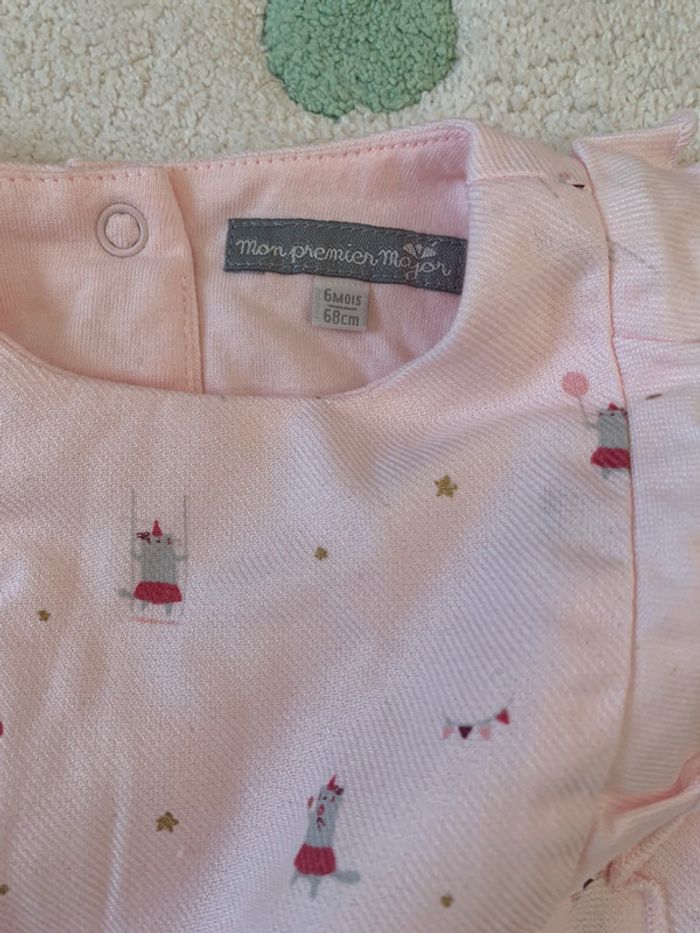 Barboteuse sergent major - photo numéro 3