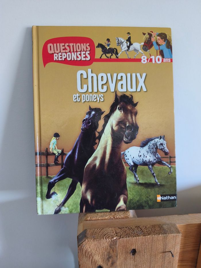 Livre Chevaux et poneys questions réponses
