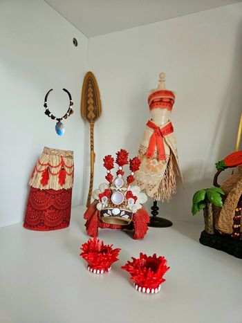 Ensemble accessoires vaiana 