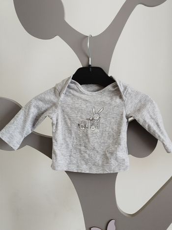 Tee-shirt manches longues gris Tex taille naissance -1 mois
