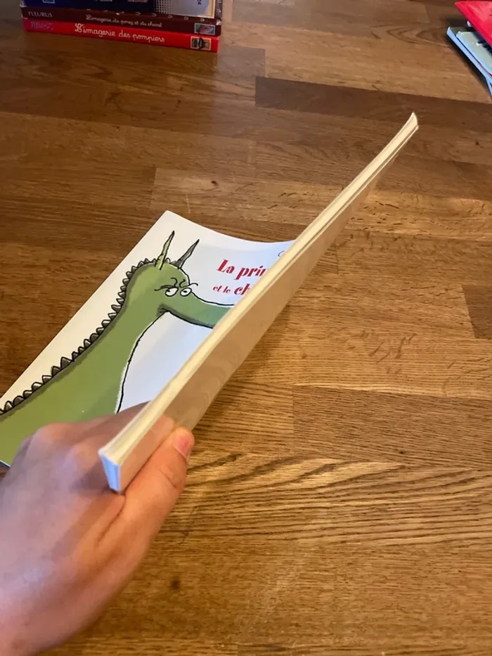 Livre L’école des Max Le prince le dragon et le chevalier intrépide - photo numéro 4