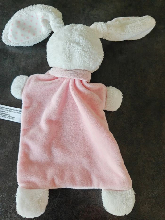 Lapin Tex - photo numéro 2