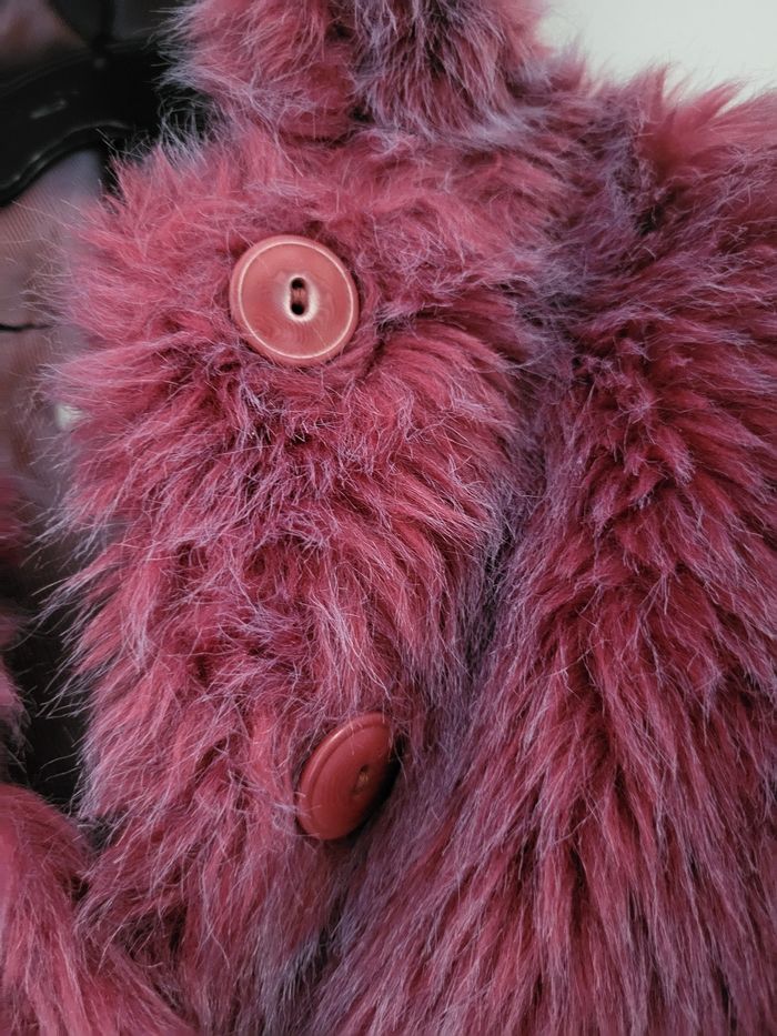 Magnifique manteau - photo numéro 3