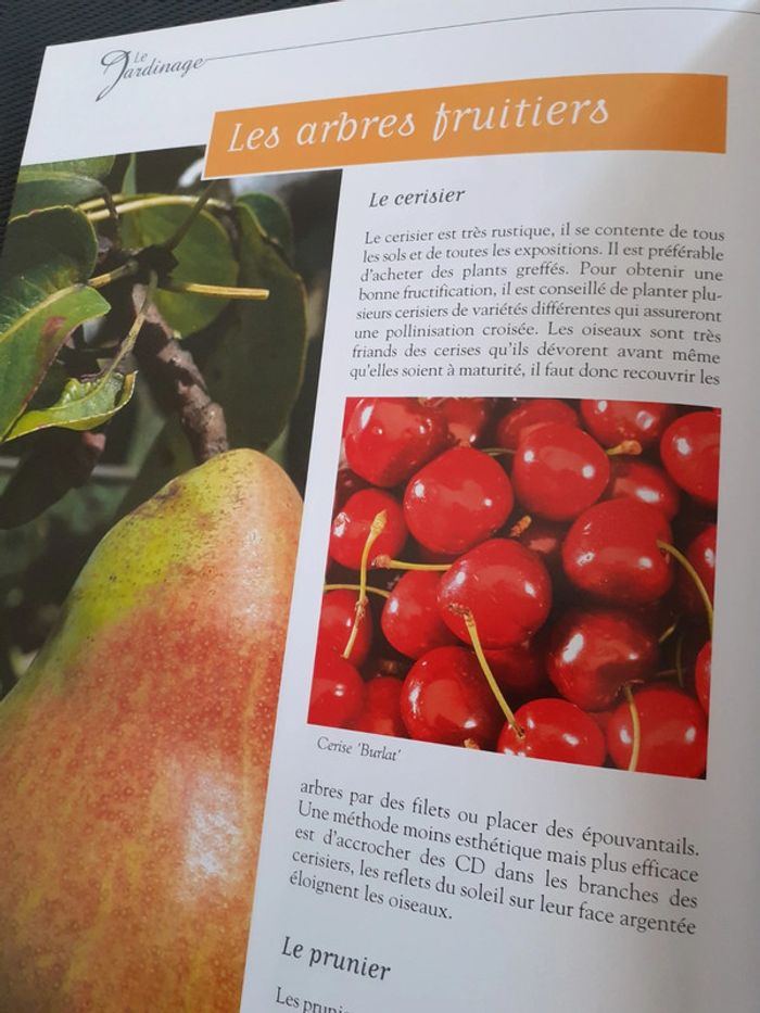 Le jardinage  simple et pratique - photo numéro 11
