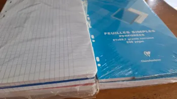 Environ 1500 feuilles classeurs seyes