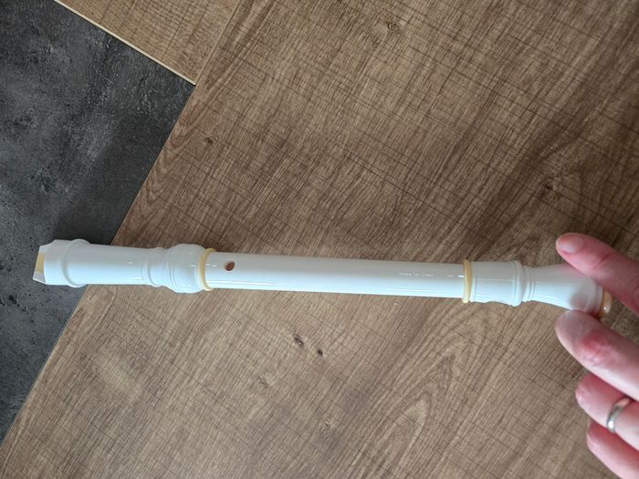 flute à bec - photo numéro 2