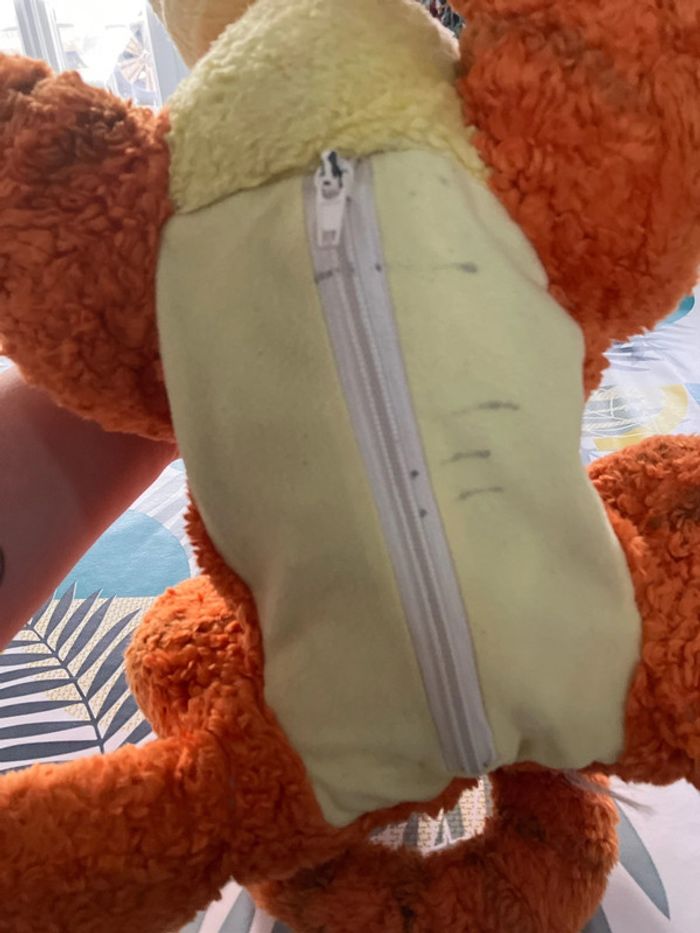 Tigrou - photo numéro 7