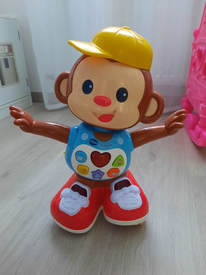 Singe titi ouistiti - photo numéro 3