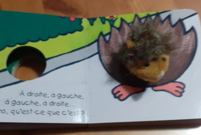 Livre marionnette 1er âge - photo numéro 3