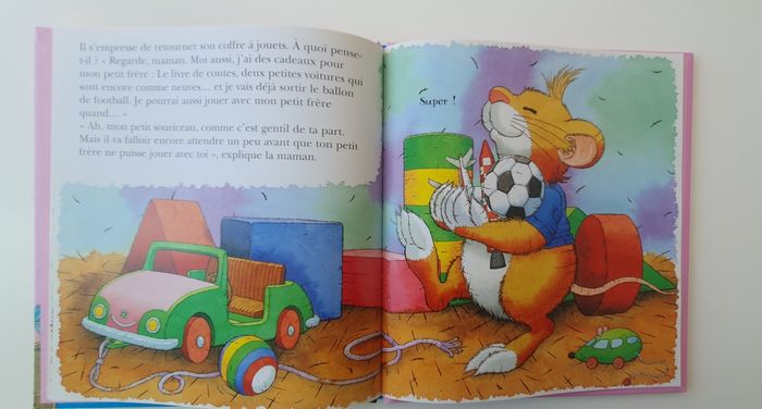 Livre Léo le souriceau veut un petit frère - photo numéro 3