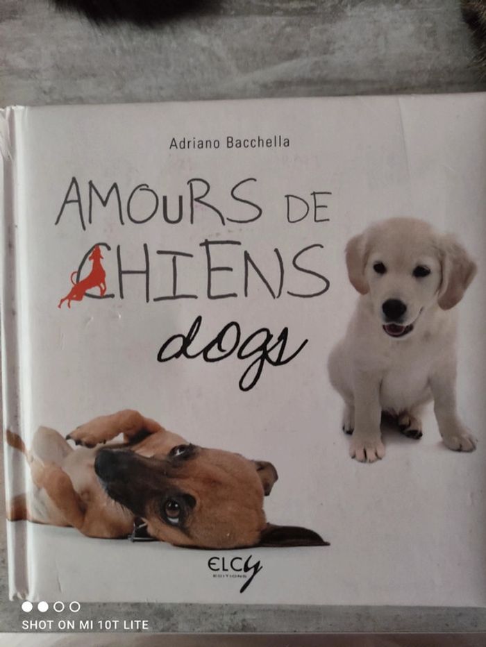 Livre  des amours de chiens