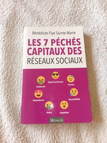Livre les 7 péchés capitaux des réseaux sociaux