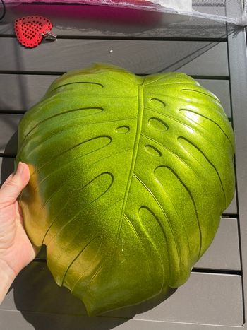 Plateau exotique