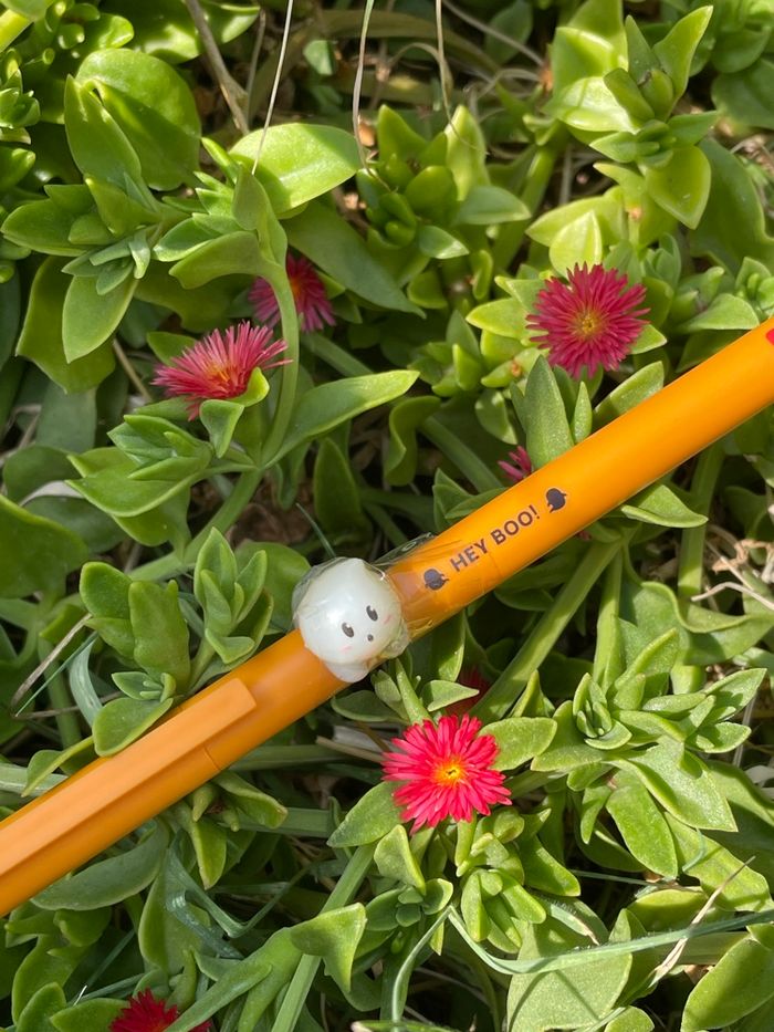 Legami - photo numéro 2