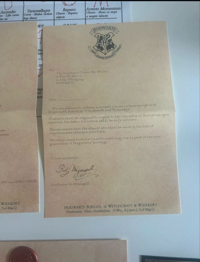 Lot NEUF de 9 accessoires Harry POTTER - photo numéro 2