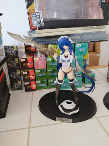 Figurine Ikki Tousen Kanu Unchou - Maid 1/7 figure xtreme xecutor