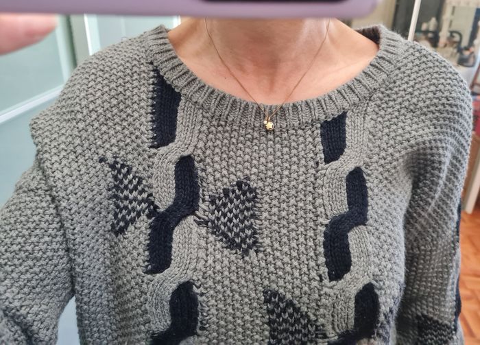 Pull femme Pablo Gérard Darel T2 - photo numéro 3